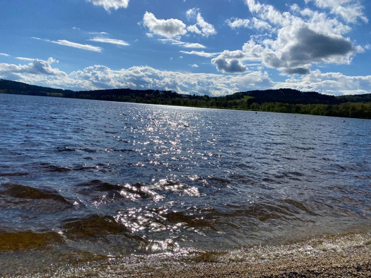 Luxury Apartman Lipno Lipno nad Vltavou Luaran gambar