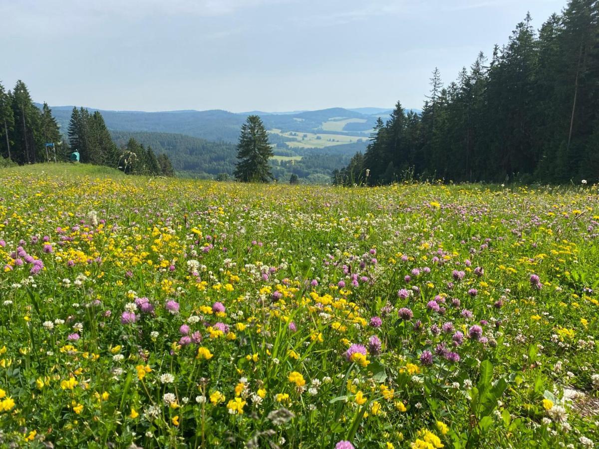 Luxury Apartman Lipno Lipno nad Vltavou Luaran gambar